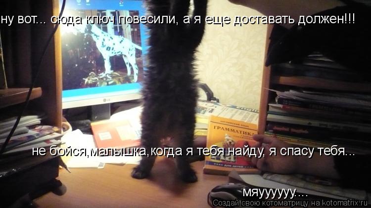 ну вот... сюда ключ повесили, а я еще доставать должен!!! не бойся,малышка,когда я тебя найду, я спас... Котоматрица: ну вот... сюда ключ повесили, а я еще доставать должен!!! не бойся,малышка,когда я тебя найду, я спасу тебя... мяуууууу....