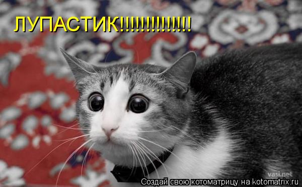 Котоматрица: ЛУПАСТИК!!!!!!!!!!!!!!