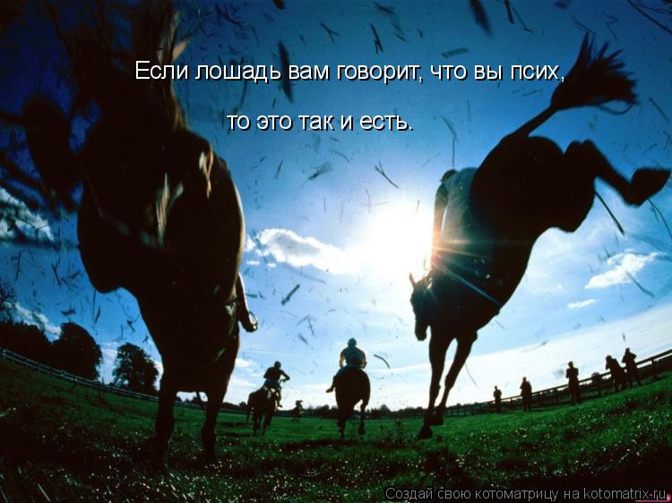 Если лошадь вам говорит, что вы псих, то это так и есть.... Котоматрица: Если лошадь вам говорит, что вы псих, то это так и есть.
