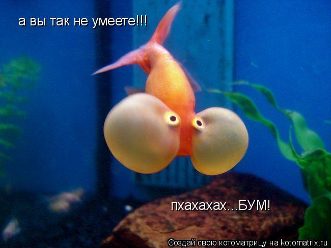 а вы так не умеете!!! пхахахах...БУМ!... Котоматрица: а вы так не умеете!!! пхахахах...БУМ!