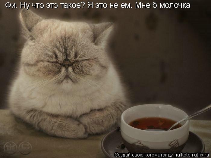 Фи. Ну что это такое? Я это не ем. Мне б молочка... Котоматрица: Фи. Ну что это такое? Я это не ем. Мне б молочка