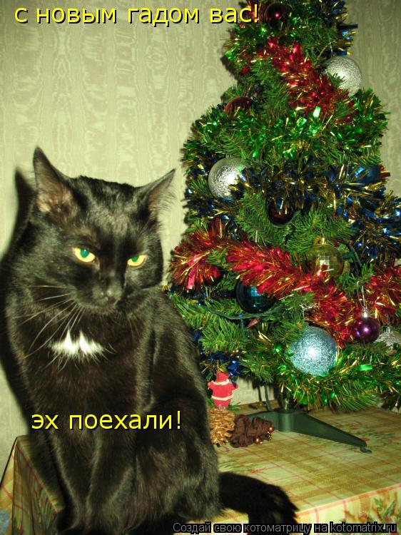 с новым гадом вас! эх поехали!... Котоматрица: с новым гадом вас! эх поехали!