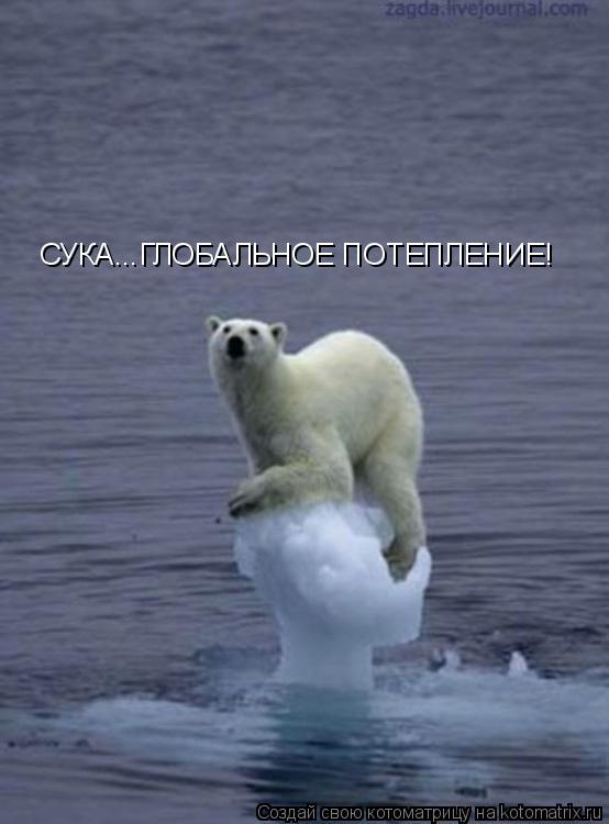 СУКА...ГЛОБАЛЬНОЕ ПОТЕПЛЕНИЕ!... Котоматрица: СУКА...ГЛОБАЛЬНОЕ ПОТЕПЛЕНИЕ!