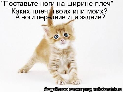 А ноги передние или задние? "Поставьте ноги на ширине плеч" Каких плеч: твоих или моих? _____________... Котоматрица: А ноги передние или задние? "Поставьте ноги на ширине плеч" Каких плеч: твоих или моих? ________________________