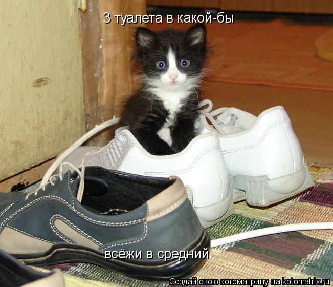 всёжи в средний 3 туалета в какой-бы... Котоматрица: всёжи в средний 3 туалета в какой-бы