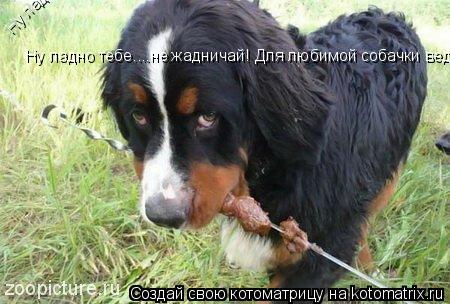 Ну ладно тебе....не жадничай! Для любимой собачки ведь ничего не жалко...)) Ну ладно тебе....не жадни... Котоматрица: Ну ладно тебе....не жадничай! Для любимой собачки ведь ничего не жалко...)) Ну ладно тебе....не жадничай! Для любимой собачки ведь ничего не жалк