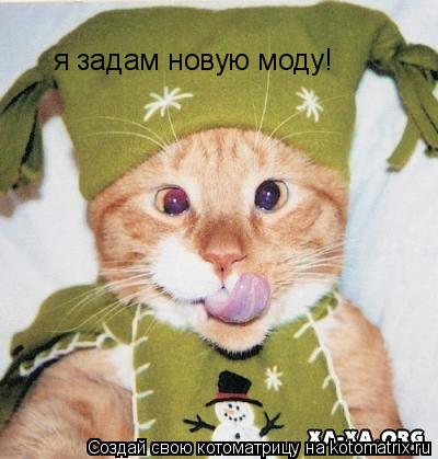 Котоматрица: я задам новую моду!