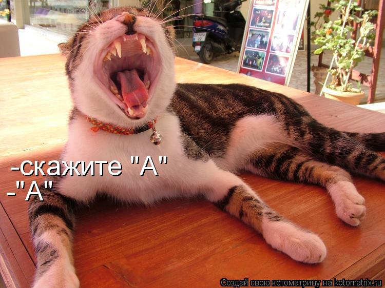 -скажите "А" -"А"... Котоматрица: -скажите "А" -"А"