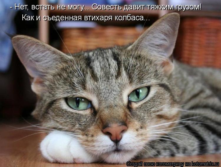 - Нет, встать не могу... Совесть давит тяжким грузом! Как и съеденная втихаря колбаса...... Котоматрица: - Нет, встать не могу... Совесть давит тяжким грузом! Как и съеденная втихаря колбаса...