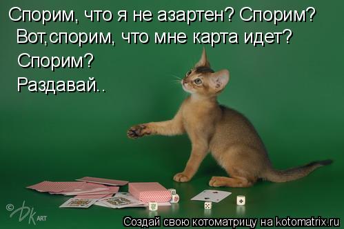 Спорим, что я не азартен? Спорим? Спорим? Вот,спорим, что мне карта идет? Раздавай..... Котоматрица: Спорим, что я не азартен? Спорим? Спорим? Вот,спорим, что мне карта идет? Раздавай..