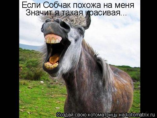 Если Собчак похожа на меня Значит я такая красивая...... Котоматрица: Если Собчак похожа на меня Значит я такая красивая...
