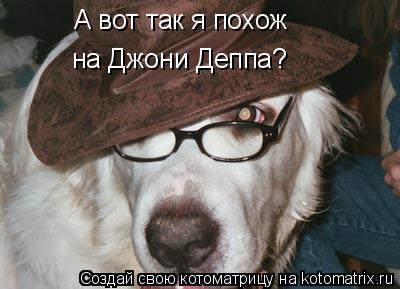 А вот так я похож на Джони Деппа?... Котоматрица: А вот так я похож на Джони Деппа?