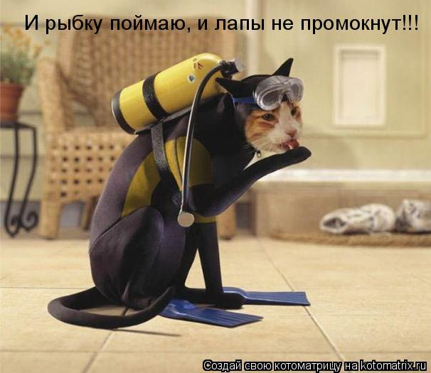 И рыбку поймаю, и лапы не промокнут!!!... Котоматрица: И рыбку поймаю, и лапы не промокнут!!!