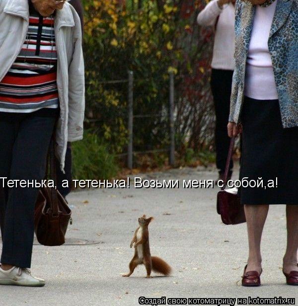 Тетенька, а тетенька! Возьми меня с собой,а!... Котоматрица: Тетенька, а тетенька! Возьми меня с собой,а!