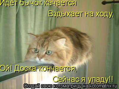 Котоматрица: Идёт бычок качается Вздыхает на ходу, Ой! Доска кончается, Сейчас я упаду!!