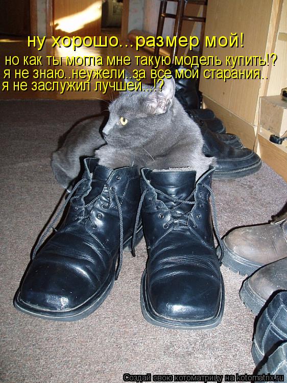 ну хорошо...размер мой! но как ты могла мне такую модель купить!? я не знаю..неужели..за все мои стар... Котоматрица: ну хорошо...размер мой! но как ты могла мне такую модель купить!? я не знаю..неужели..за все мои старания.. я не заслужил лучшей...!?