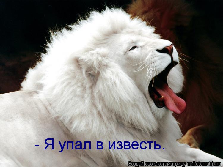 - Я упал в известь.... Котоматрица: - Я упал в известь.