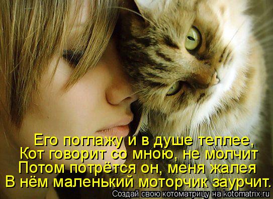 Его поглажу и в душе теплее, Кот говорит со мною, не молчит Потом потрётся он, меня жалея В нём мален... Котоматрица: Его поглажу и в душе теплее, Кот говорит со мною, не молчит Потом потрётся он, меня жалея В нём маленький моторчик заурчит.