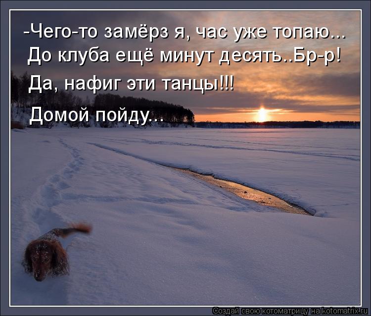 Котоматрица: -Чего-то замёрз я, час уже топаю... До клуба ещё минут десять..Бр-р! Да, нафиг эти танцы!!! Домой пойду...