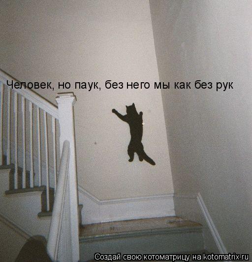 Человек, но паук, без него мы как без рук... Котоматрица: Человек, но паук, без него мы как без рук