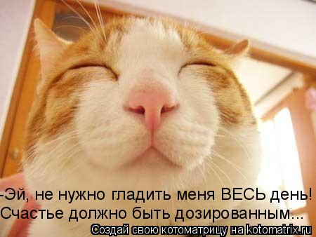 -Эй, не нужно гладить меня ВЕСЬ день! Счастье должно быть дозированным...... Котоматрица: -Эй, не нужно гладить меня ВЕСЬ день! Счастье должно быть дозированным...