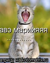 авэ мариияяя ............... Котоматрица: авэ мариияяя ............