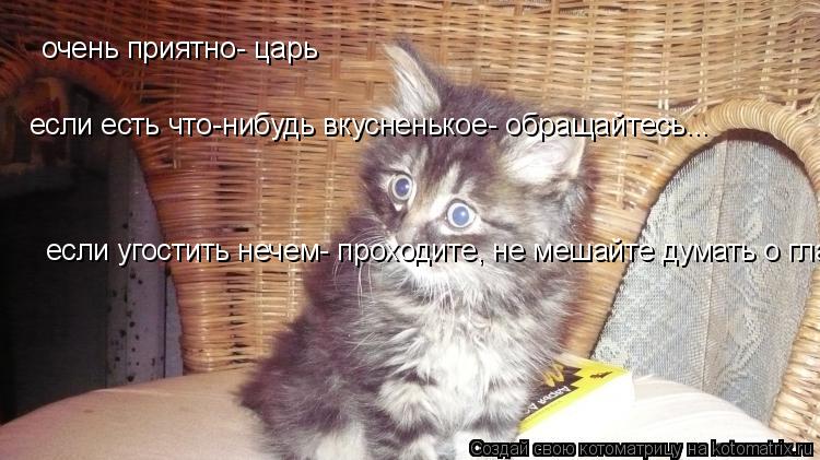 очень приятно- царь если есть что-нибудь вкусненькое- обращайтесь... если угостить нечем- проходите, ... Котоматрица: очень приятно- царь если есть что-нибудь вкусненькое- обращайтесь... если угостить нечем- проходите, не мешайте думать о главном...