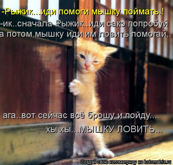 -Рыжик...иди помоги мышку поймать.! -ик..сначала Рыжик..иди сакэ попробуй а потом мышку иди им ловить... Котоматрица: -Рыжик...иди помоги мышку поймать.! -ик..сначала Рыжик..иди сакэ попробуй а потом мышку иди им ловить помогай.. ага..вот сейчас всё брошу и пойду