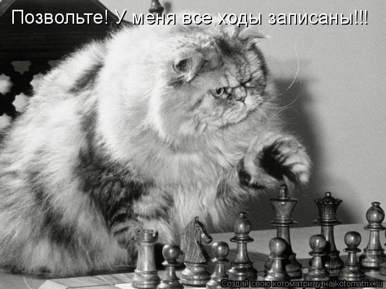 Позвольте! У меня все ходы записаны!!!... Котоматрица: Позвольте! У меня все ходы записаны!!!