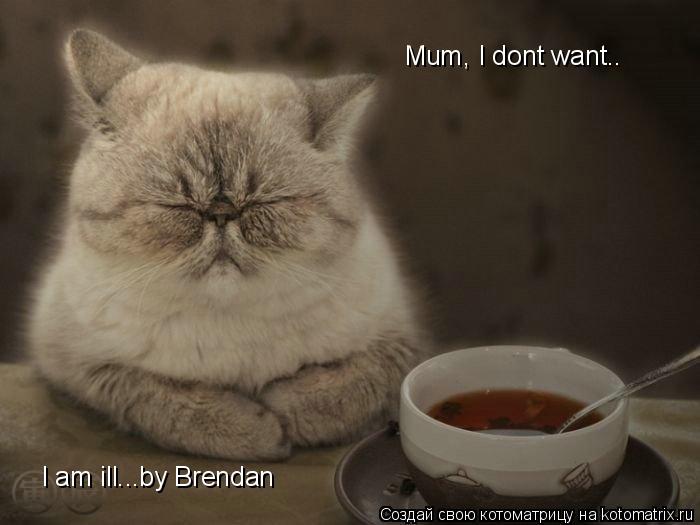 Mum, I dont want…. I am ill...by Brendan I am ill...by Brendan... Котоматрица: Mum, I dont want…. I am ill...by Brendan I am ill...by Brendan