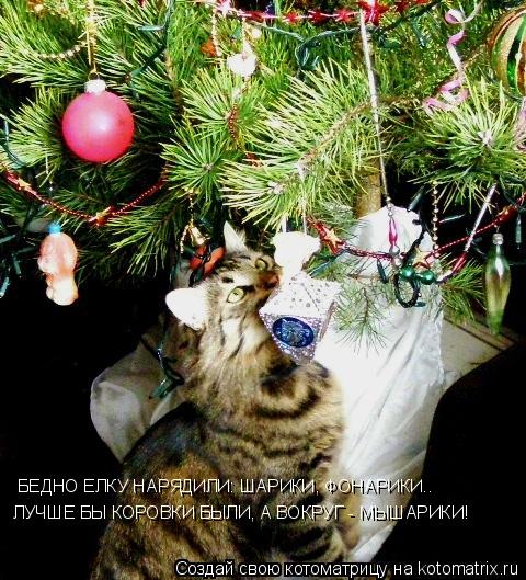 Котоматрица: БЕДНО ЕЛКУ НАРЯДИЛИ: ШАРИКИ, ФОНАРИКИ.. ЛУЧШЕ БЫ КОРОВКИ БЫЛИ, А ВОКРУГ - МЫШАРИКИ!