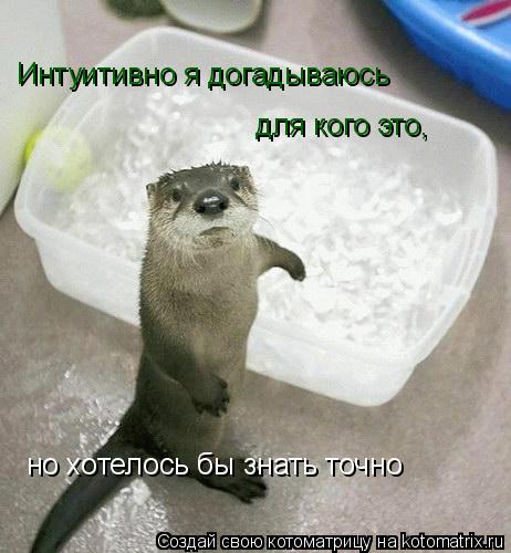 Котоматрица: для кого это, Интуитивно я догадываюсь но хотелось бы знать точно