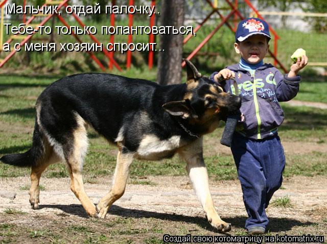 Мальчик, отдай палочку.. Тебе-то только попантоваться, а с меня хозяин спросит...... Котоматрица: Мальчик, отдай палочку.. Тебе-то только попантоваться, а с меня хозяин спросит...