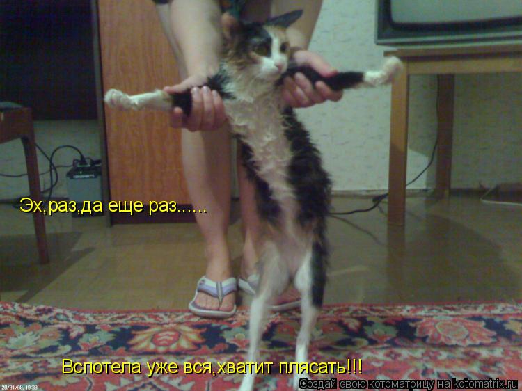 Эх,раз,да еще раз...... Вспотела уже вся,хватит плясать!!!... Котоматрица: Эх,раз,да еще раз...... Вспотела уже вся,хватит плясать!!!