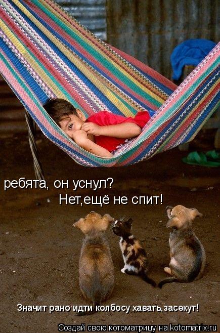 ребята, он уснул? Нет,ещё не спит! Значит рано идти колбосу хавать,засекут!... Котоматрица: ребята, он уснул? Нет,ещё не спит! Значит рано идти колбосу хавать,засекут!