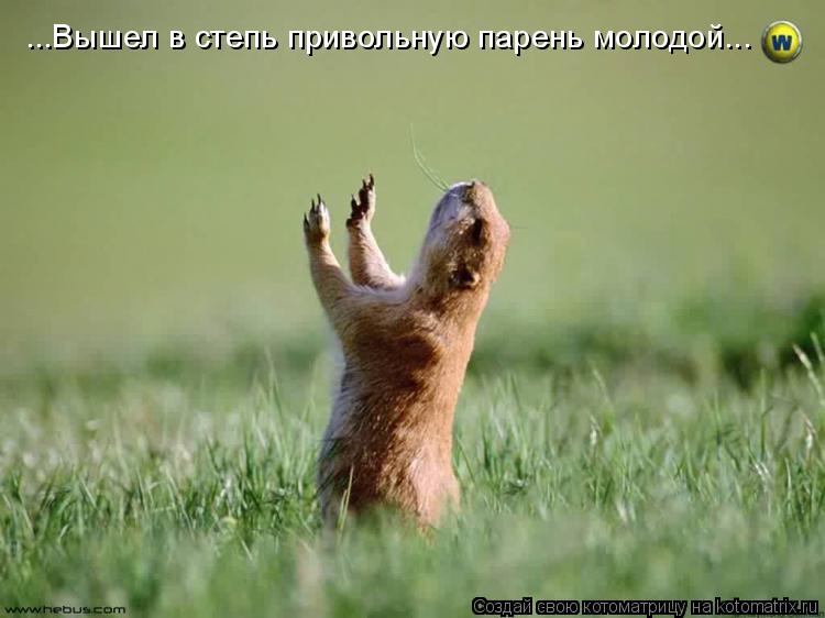 ...Вышел в степь привольную парень молодой...... Котоматрица: ...Вышел в степь привольную парень молодой...