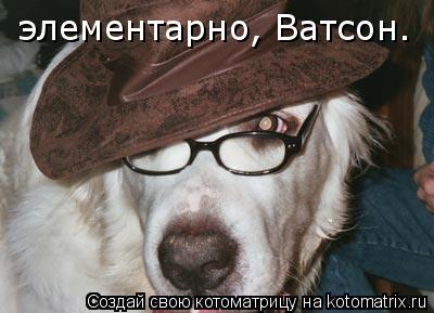 элементарно, Ватсон.... Котоматрица: элементарно, Ватсон.