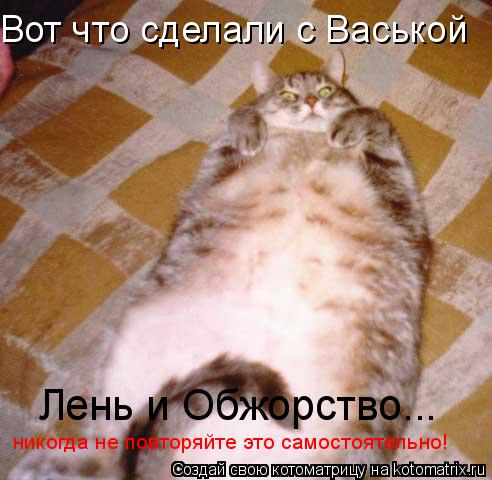 Вот что сделали с Васькой Лень и Обжорство... никогда не повторяйте это самостоятельно!... Котоматрица: Вот что сделали с Васькой Лень и Обжорство... никогда не повторяйте это самостоятельно!