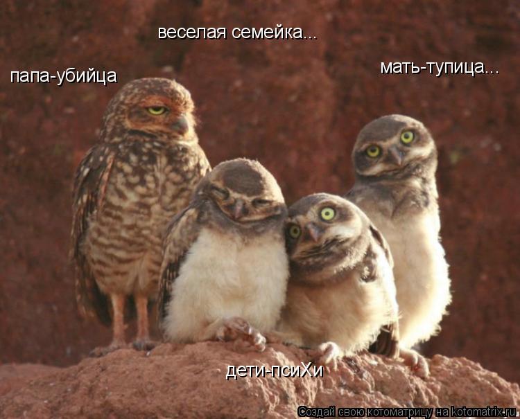Котоматрица: веселая семейка... папа-убийца дети-псиХи мать-тупица...