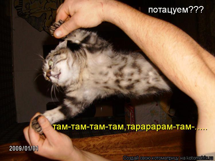 потацуем??? там-там-там-там,тарарарам-там-........ Котоматрица: потацуем??? там-там-там-там,тарарарам-там-.....