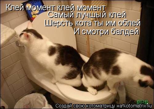 Клей момент клей момент Самый лучшый клей Шерсть кота ты им облей И смотри балдей... Котоматрица: Клей момент клей момент Самый лучшый клей Шерсть кота ты им облей И смотри балдей