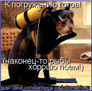 К погружению готов! (наконец-то рыбы хорошо поем!)... Котоматрица: К погружению готов! (наконец-то рыбы хорошо поем!)