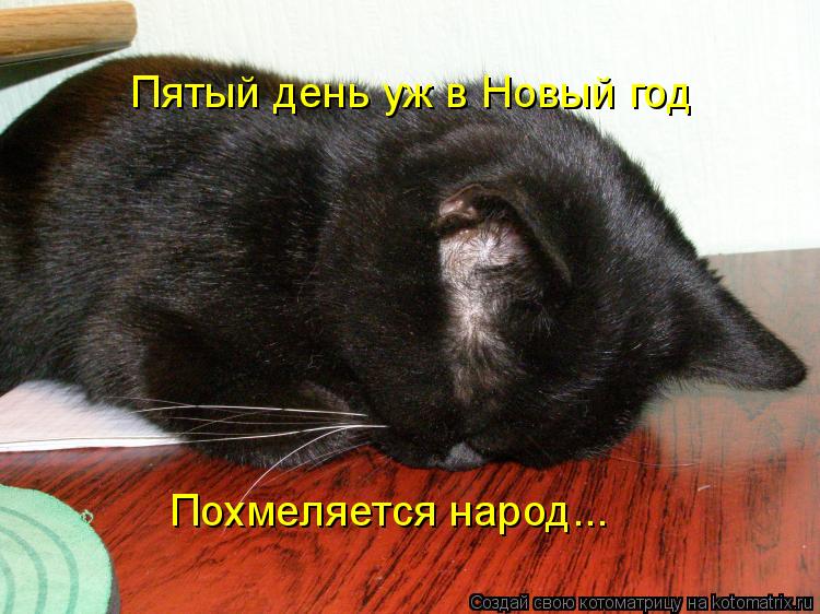 Пятый день уж в Новый год Похмеляется народ...... Котоматрица: Пятый день уж в Новый год Похмеляется народ...