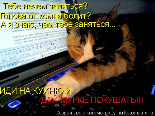 Тебе нечем заняться? Голова от компа болит? А я знаю, чем тебе заняться... ИДИ НА КУХНЮ И ДАЙ МУРКЕ ... Котоматрица: Тебе нечем заняться? Голова от компа болит? А я знаю, чем тебе заняться... ИДИ НА КУХНЮ И ДАЙ МУРКЕ ПОКУШАТЬ!!!