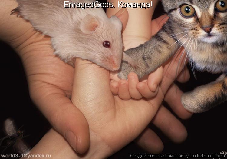 EnragedGods™ Команда!... Котоматрица: EnragedGods™ Команда!
