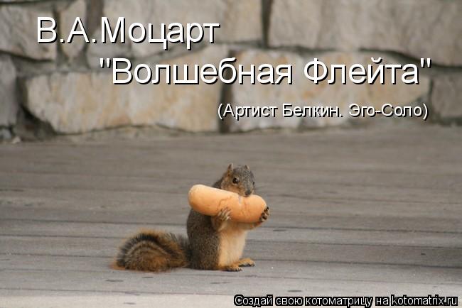 В.А.Моцарт "Волшебная Флейта" (Артист Белкин. Эго-Соло)... Котоматрица: В.А.Моцарт "Волшебная Флейта" (Артист Белкин. Эго-Соло)