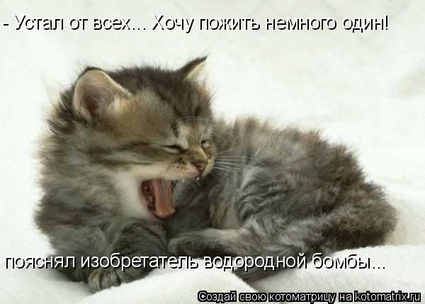 - Устал от всех... Хочу пожить немного один! пояснял изобретатель водородной бомбы...... Котоматрица: - Устал от всех... Хочу пожить немного один! пояснял изобретатель водородной бомбы...