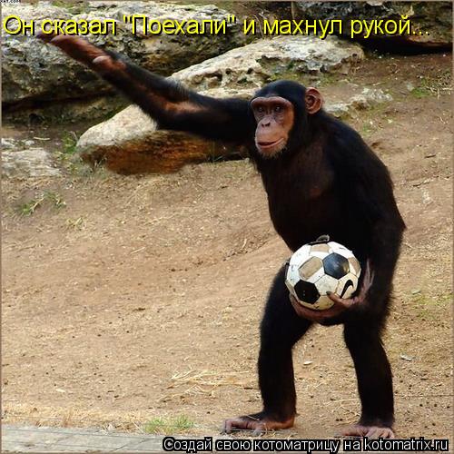 Он сказал "Поехали" и махнул рукой...... Котоматрица: Он сказал "Поехали" и махнул рукой...