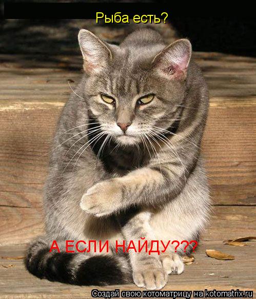 Котоматрица: А ЕСЛИ НАЙДУ??? Рыба есть?
