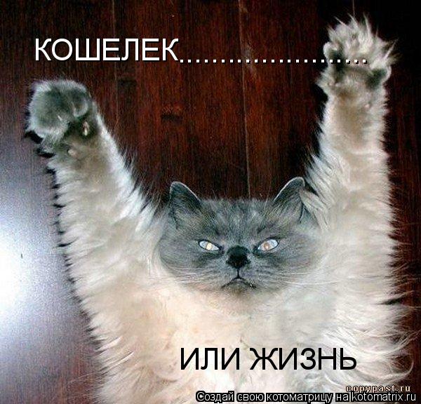 КОШЕЛЕК ....................... ИЛИ ЖИЗНЬ... Котоматрица: КОШЕЛЕК ....................... ИЛИ ЖИЗНЬ